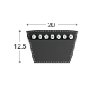 20